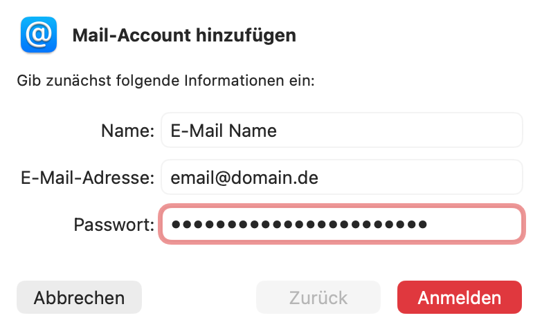 Schritt 3: Passwort eingeben